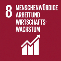 Sustainable Development Goals Ziel 8
